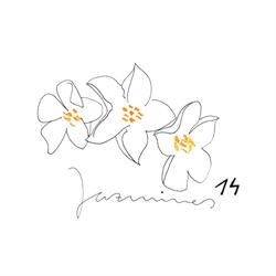 Jazmines 14, Marbella