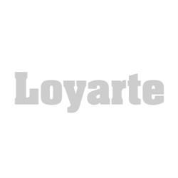 Loyarte, Astigarraga