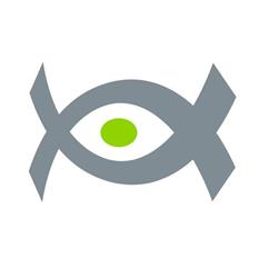 Visual Optics Murcia