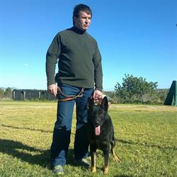 Centro Canino Bioko, Elche