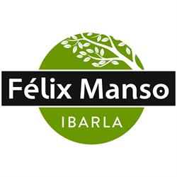 Felix Manso Ibarla, Irun