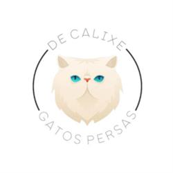 De Calixe Persas Solidos Y Bicolores, La Unión