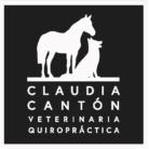 Claudia Cantón Veterinaria Quiropráctica, Infiesto