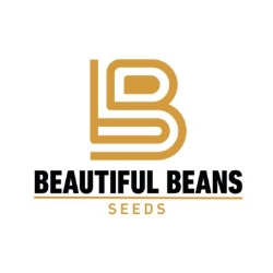 Beautiful Beans Distribuidor Semillas, Peligros