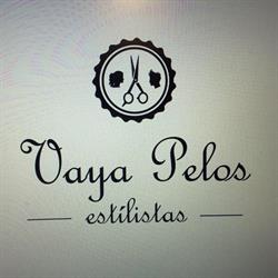 Vaya Pelos Estilistas, Burlada