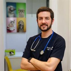 grumpy.vet, Madrid