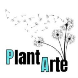 Plantarte Jardín Y Huerto, Leganés
