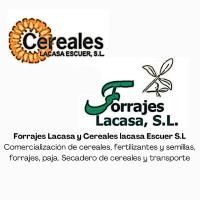 Forrajes Cereales Lacasa, Poleñino