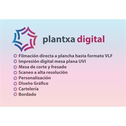 Plantxa Digital, Goiain