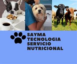 Sayma Tecnologia Servicio Nutricional, Olivenza