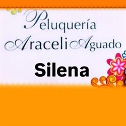 Peluquería Araceli, Reinosa