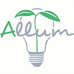 Centro Allum, Elche