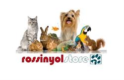 Rossinyol Store, Banyoles