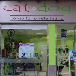 Cat - Dog, Zaragoza