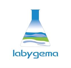 Labygema, Sevilla