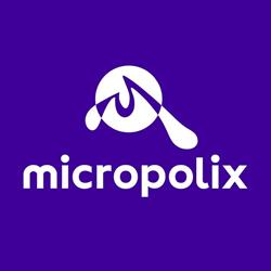 Micropolix, San Sebastián de los Reyes