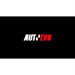 AutoEvo, S'Aranjassa