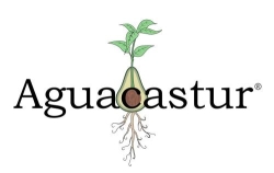 Aguacastur, Santa Eulalia de Cabranes
