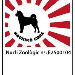 Hachiko Ebre, El Perelló