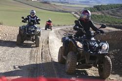 Activa Experience, Cascante