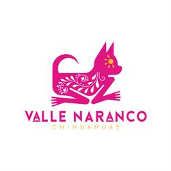 VALLE NARANCO CHIHUAHUAS, Mieres