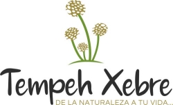 Tempeh Xebre, A Laracha