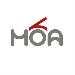 Grupo MOA, Alicante