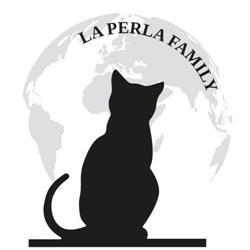 Cat café, A Coruña
