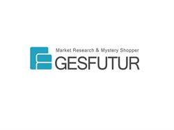 Gesfutur, Torrejón de Ardoz