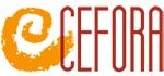 Academia Cefora, Móstoles