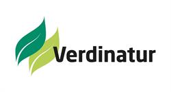 Verdinatur, Grao de Sagunto