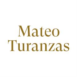 Mateo Turanzas, Valencia