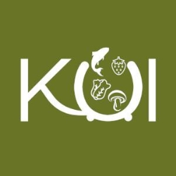 Koi Fresh supermercado Asiático, Fuenlabrada