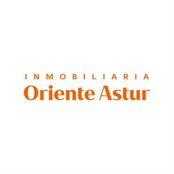 INMOBILIARIA ORIENTE ASTUR, Bricia
