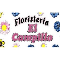 Floristería El Campillo, Antigua
