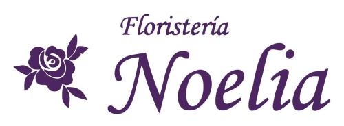 Floristería Noelia, Abegondo