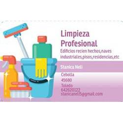 Limpieza profesional Neli, Cebolla