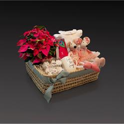 Gift&Box, Parquelagos