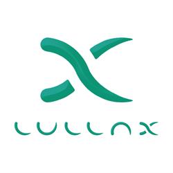 Lullax S.L., Ciudad Real