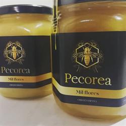 Pecorea Miel El Pedregal, San Pedro de Latarce