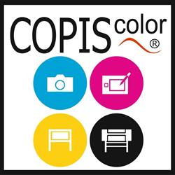 Copistería Copiscolor, Elche