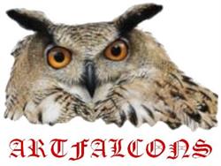 Artfalcons, Arta