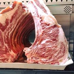 Carnes Nobles, Yuncos