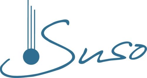 Suso González, Valladolid