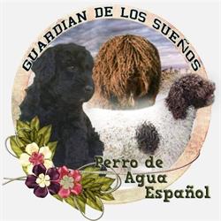Guardián De Los Sueños, Cáceres