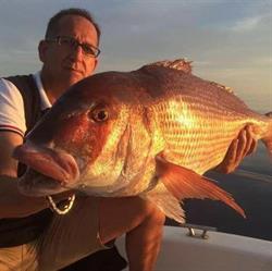 D Pesca Deportiva, Almería