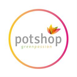 Potshop, Madrid