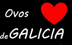 Ovos Corazón de Galicia, Merlán