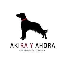 Akira y Ahora peluquería canina, Gijón