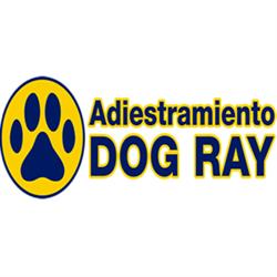 Adiestramiento Canino Dog Ray, Algorta